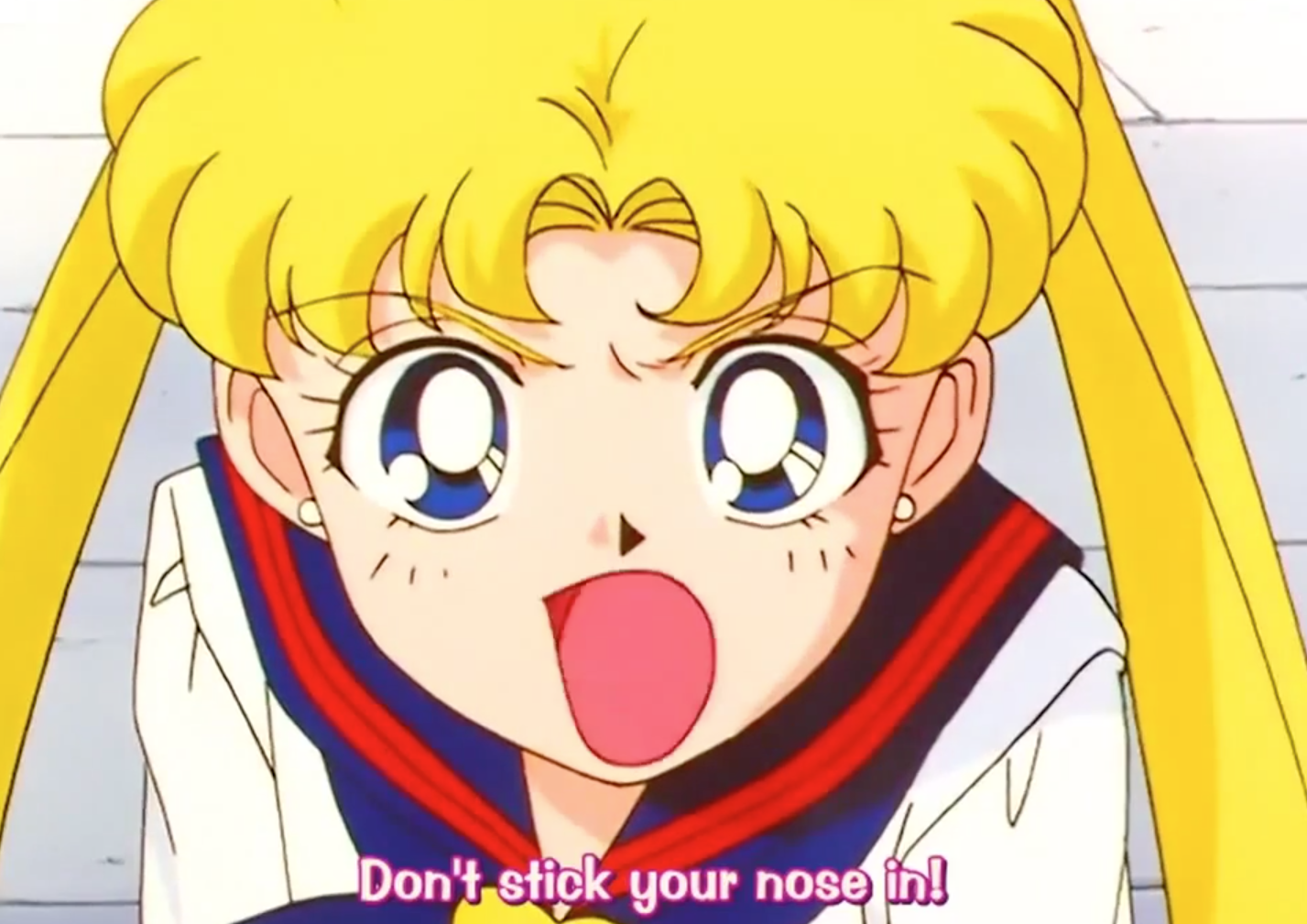 Sailor Moon: 10 People Usagi Should Have Been With Other Than Mamoru